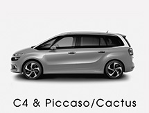 C4&Piccaso/Cactus