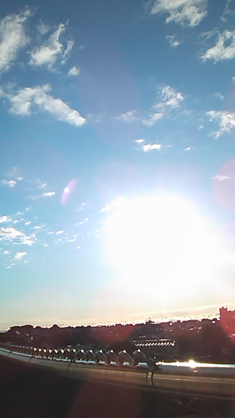朝の横浜です。